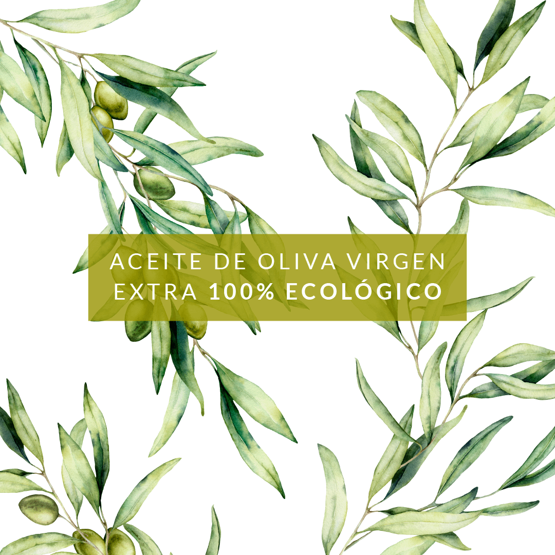Aceite oliva ilustración